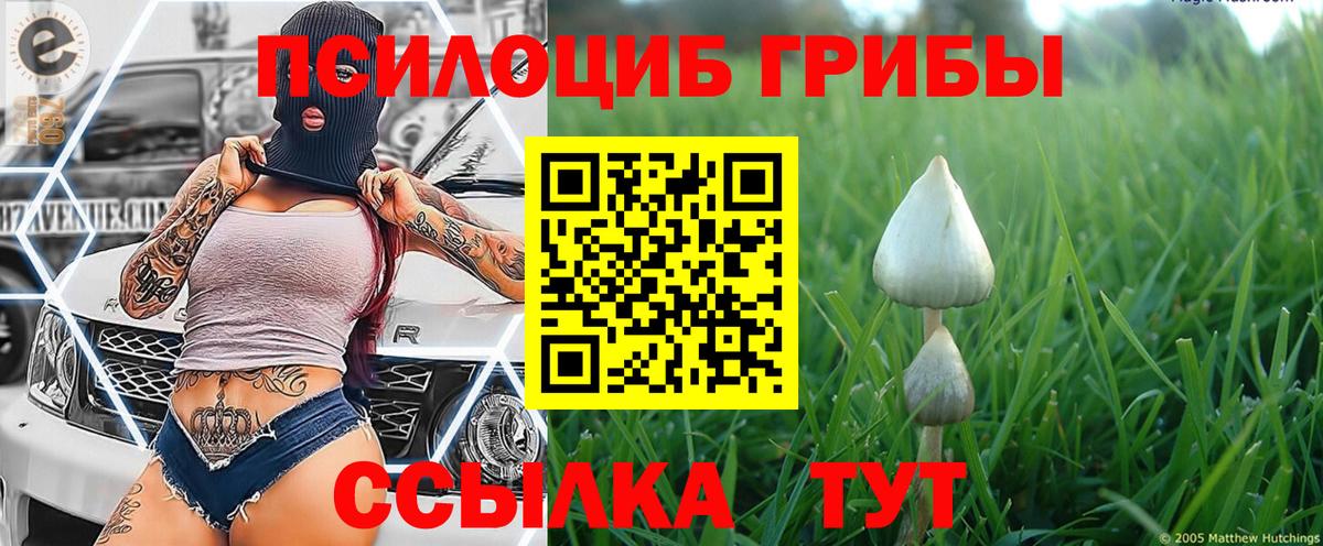 Галлюциногенные грибы Psilocybe  Псилоцибиновые грибы мухоморы  Серпухов  Вход с VPN 