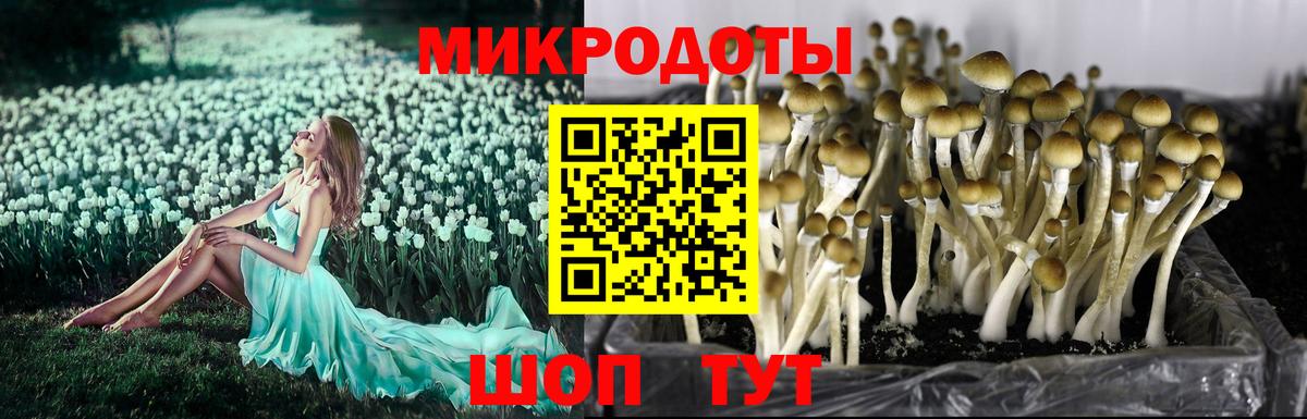 Галлюциногенные грибы ЛСД Серпухов